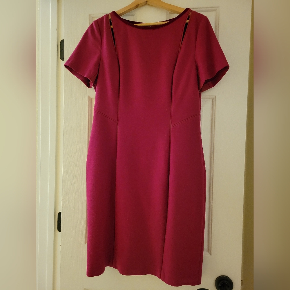 Elie Tahari Pink Dress